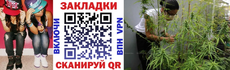 Как найти закладки Сольвычегодск Каннабис  MDMA  Амфетамин  Cocaine  ГАШ  Alpha PVP 