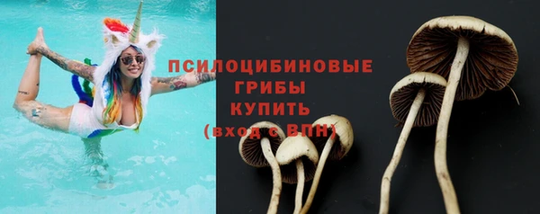 mix Осинники