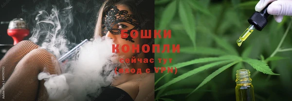 стаф Осташков